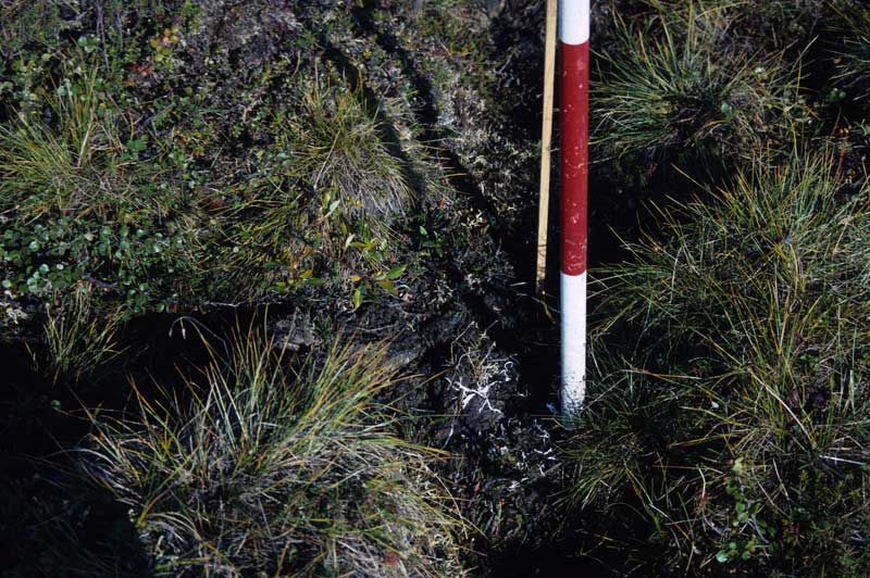general plot photo