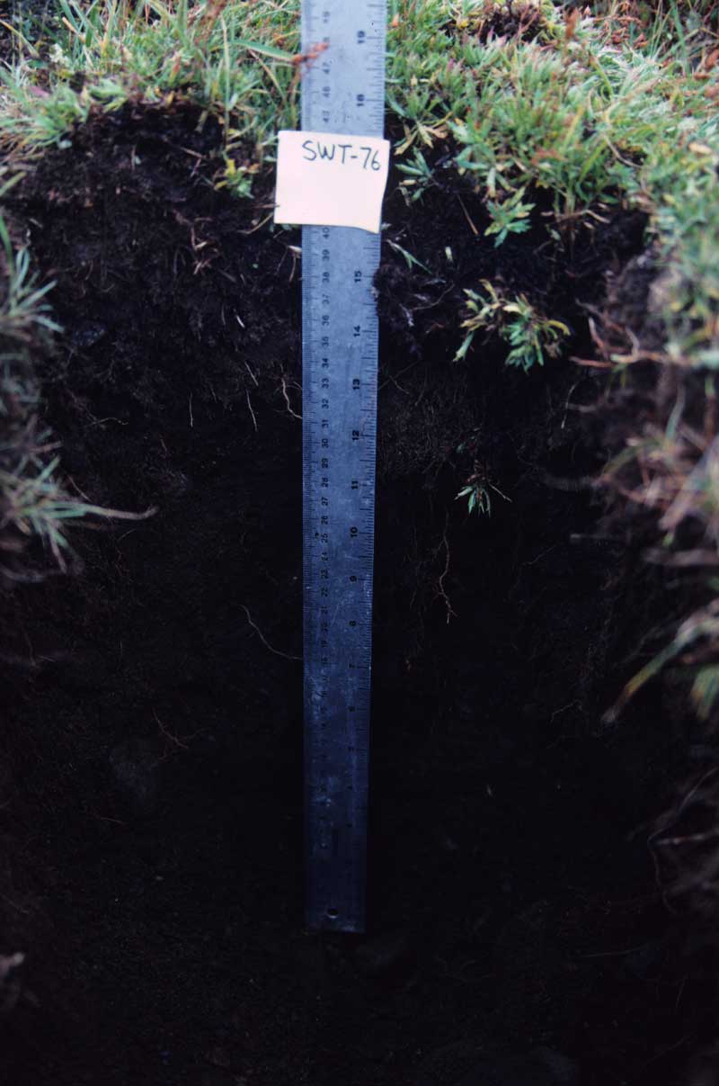 general plot photo