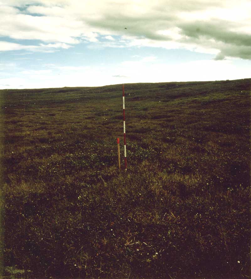 general plot photo