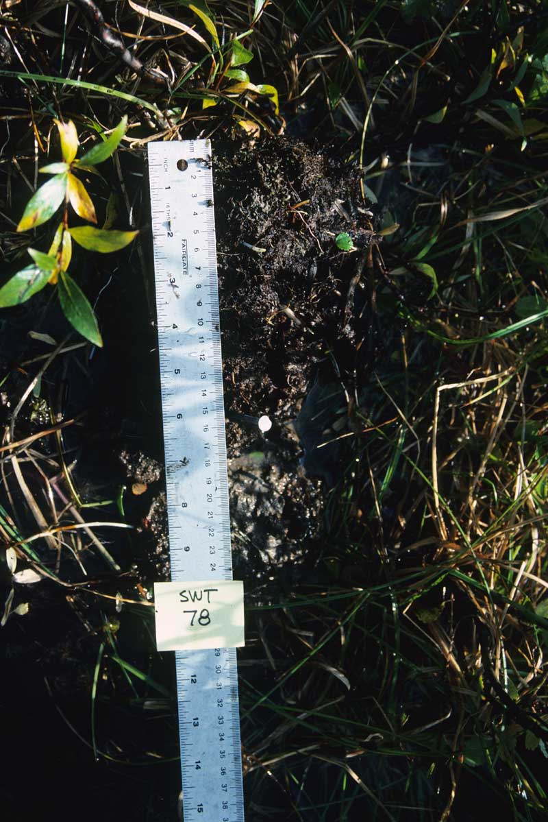 general plot photo