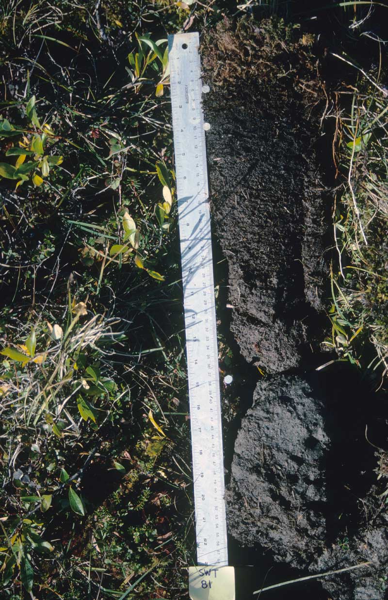 general plot photo