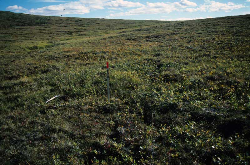 general plot photo