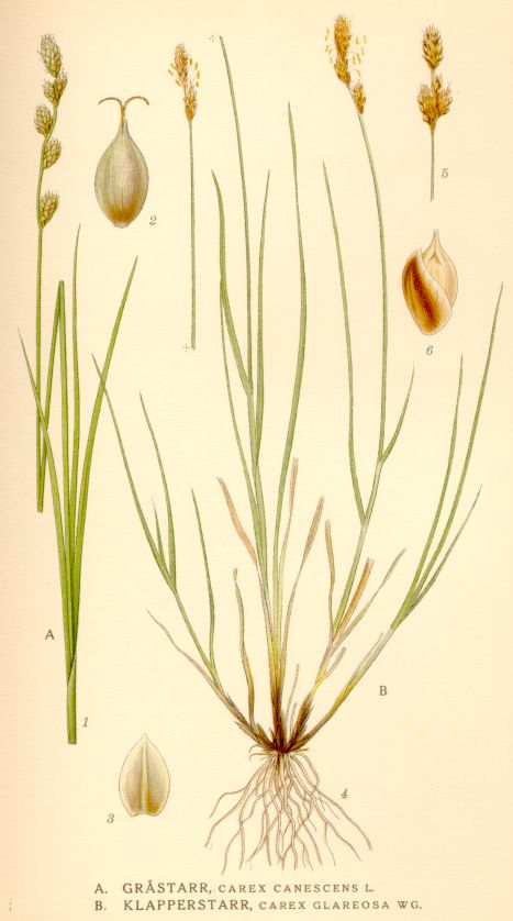 enlarged photo