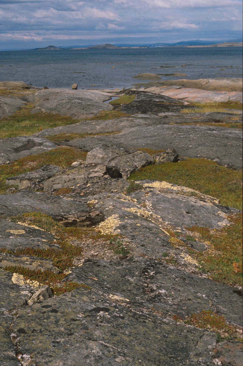 enlarged photo