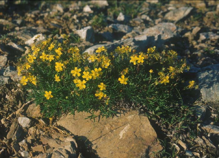 enlarged photo