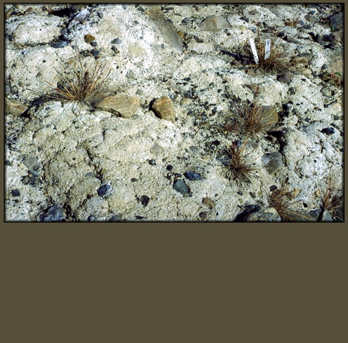 enlarged photo