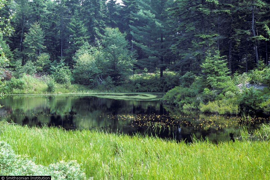 enlarged photo