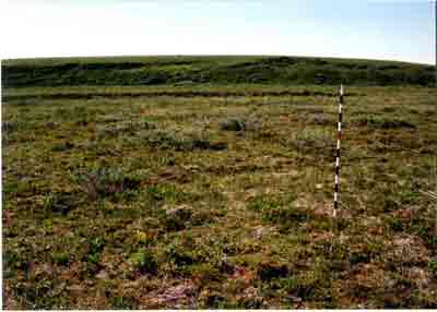landscape photo