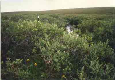 landscape photo