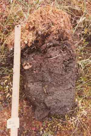soils photo sw-14a