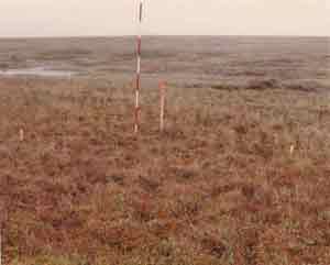 general site photo