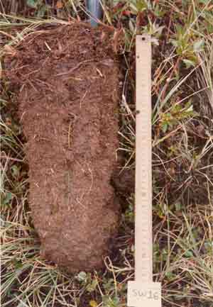 soils photo sw-16a
