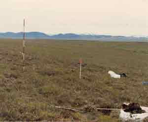 general site photo