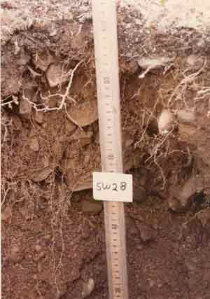 soils photo sw-28a