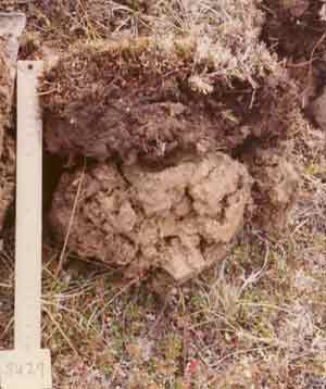 soils photo sw-29aa