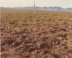 general site photo