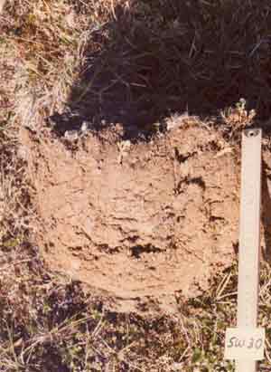 soils photo sw-30ba