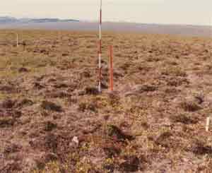 general site photo