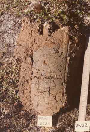 soils photo sw-32ba
