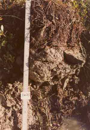 soils photo sw-35a