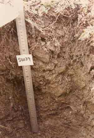 soils photo sw-39a