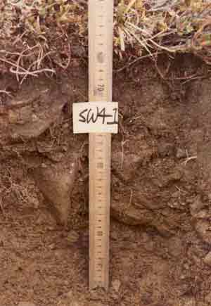 soils photo sw-41a