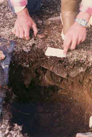 soils photo sw-42a