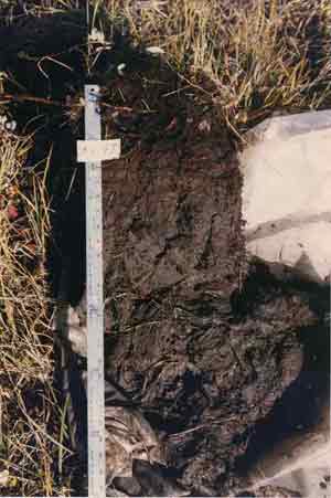 soils photo sw-47a