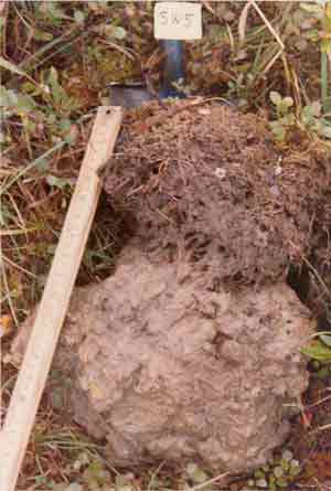 general site photo