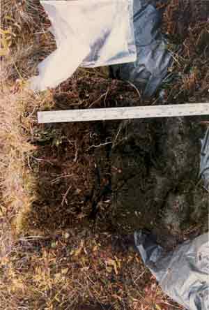 soils photo sw-61a