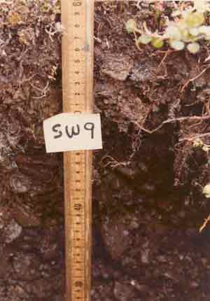 soils photo sw-9a