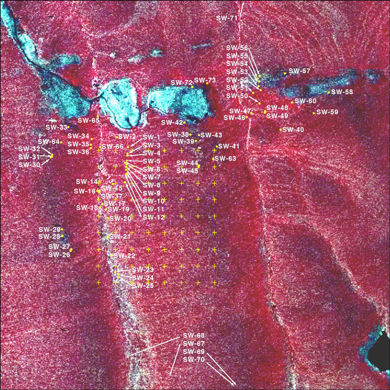 Appendix 4. Permanent vegetation plot locations