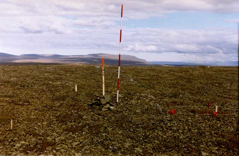 Figure 1. Vegetation plot layout