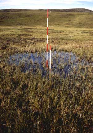 general site photo