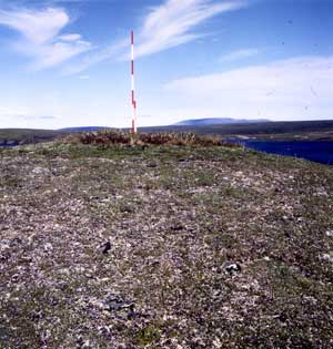 general site photo