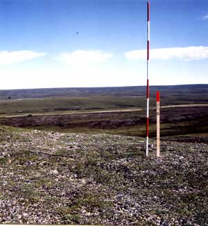 general site photo