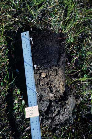 soils photo