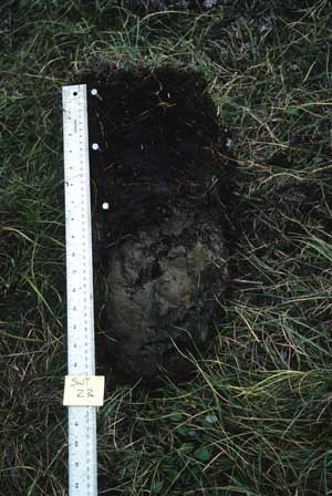 soils photo