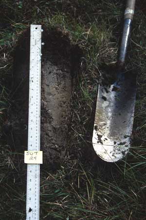 soils photo