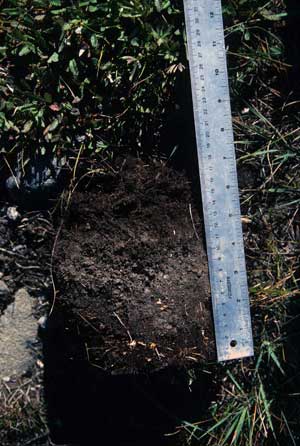 soils photo