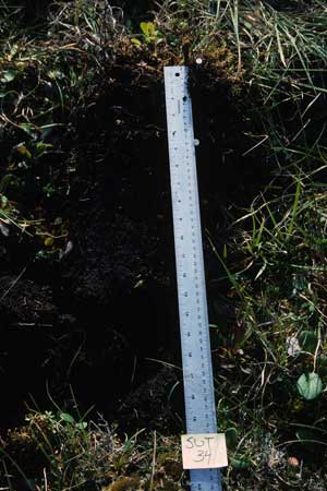 soils photo