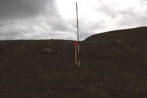 general site photo