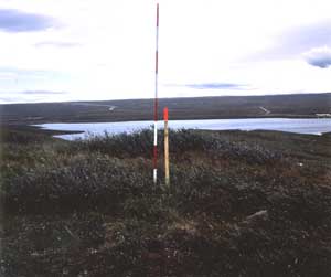 general site photo