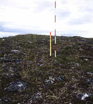 general site photo