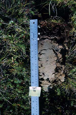 soils photo