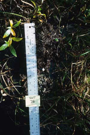 soils photo