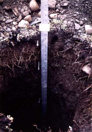 soils photo